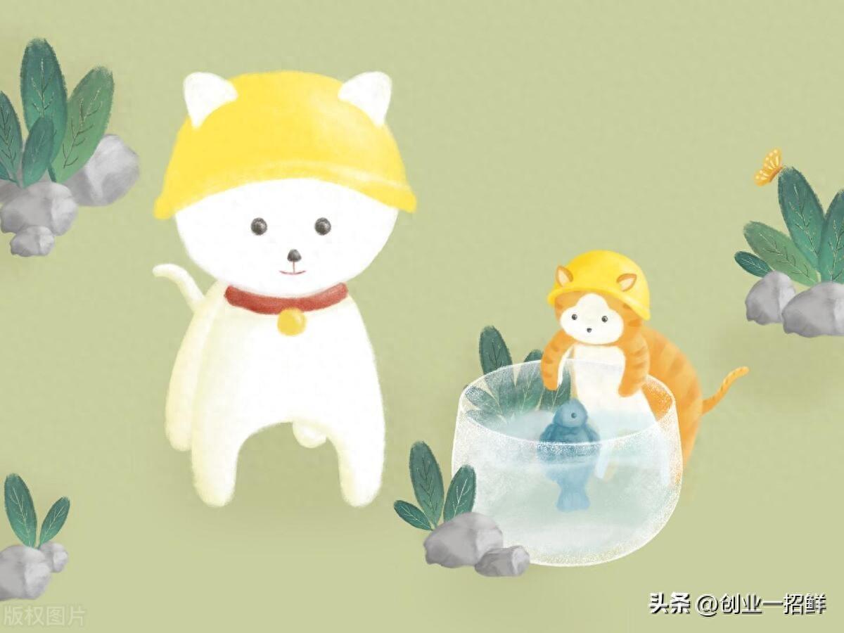 创业黄金理念：四种具有游戏功能的帽子，都是“顶级技能”